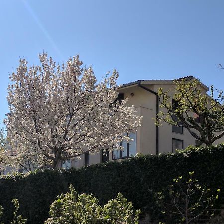 Split Apt With Parking Green Grass Of Home Exterior foto