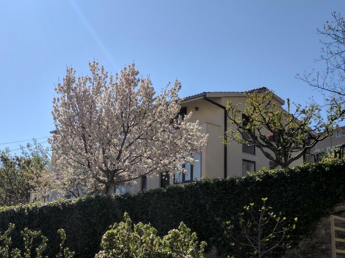 Split Apt With Parking Green Grass Of Home Exterior foto